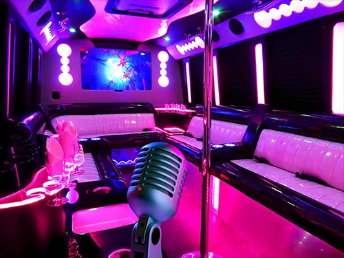 Private Party im Limobus mit Tina