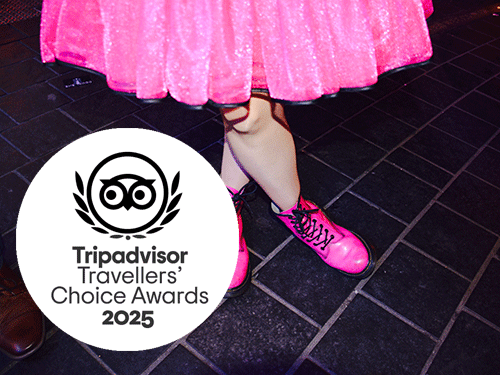 Tripadvisor Travellers Choice Award
